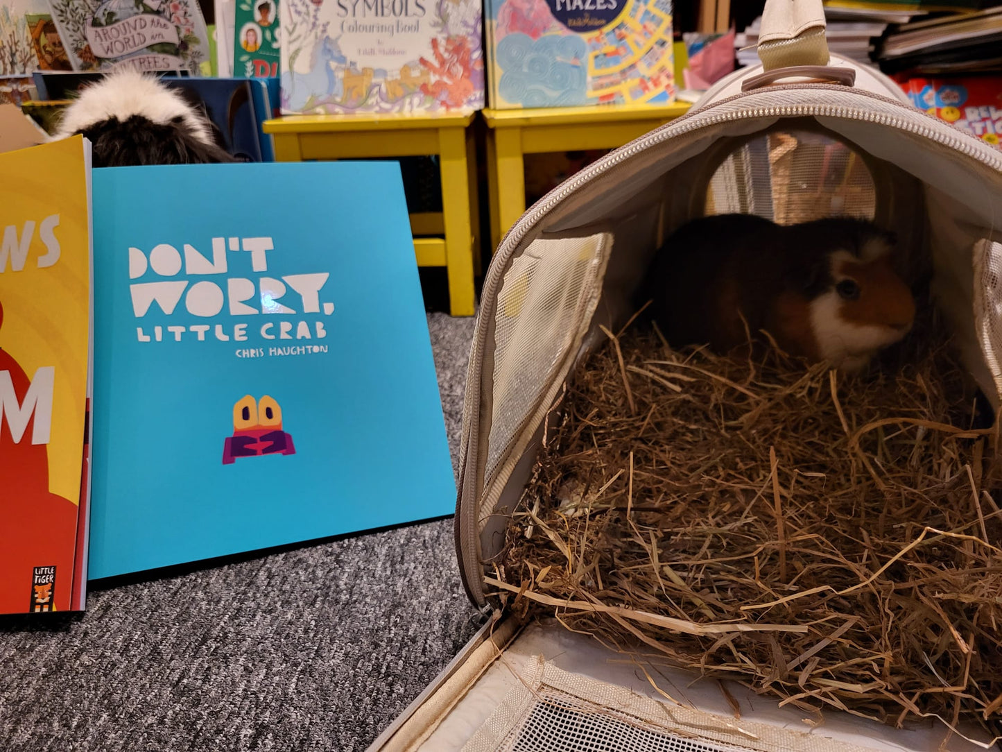 Friday Storytelling 17th May - 2pm