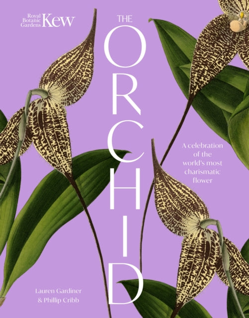 The Orchid : A celebration of the world's most charismatic flower - 9781035427727