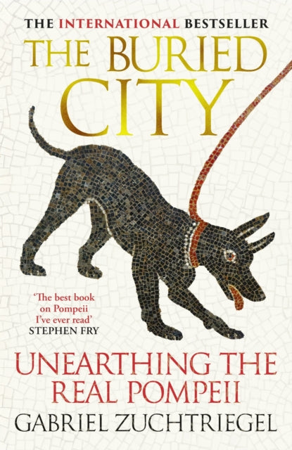 The Buried City : Unearthing the Real Pompeii - 9781399731171