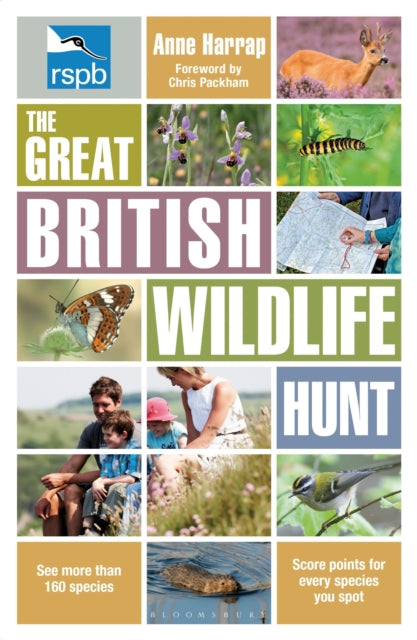 RSPB The Great British Wildlife Hunt - 9781408180372