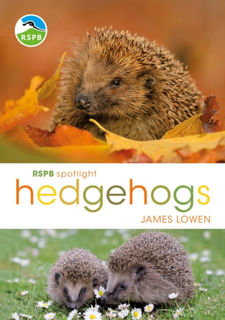 RSPB Spotlight Hedgehogs - 9781472950086