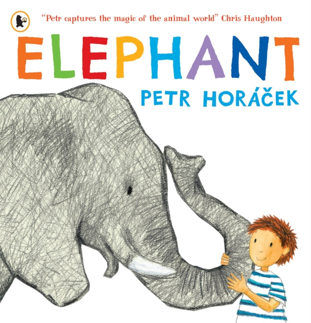 Elephant - 9781529538854