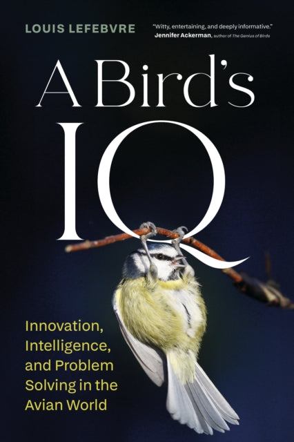 A Bird's IQ : Innovation, Intelligence, and Problem Solving in the Avian World - 9781778402647