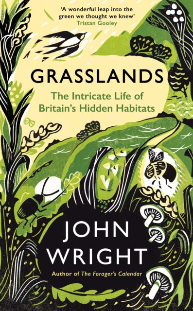 Grasslands : The Intricate Life of Britain's Hidden Habitats - 9781781258101