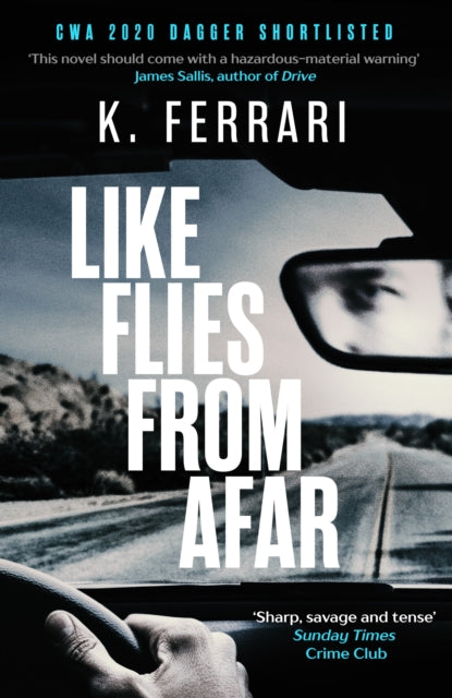 Like Flies from Afar - 9781786896995