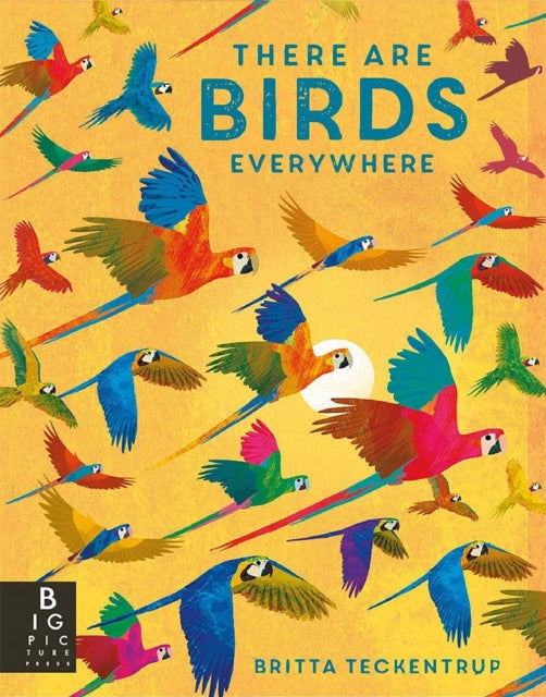 There are Birds Everywhere - 9781787417175