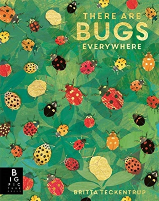 There are Bugs Everywhere - 9781787418219