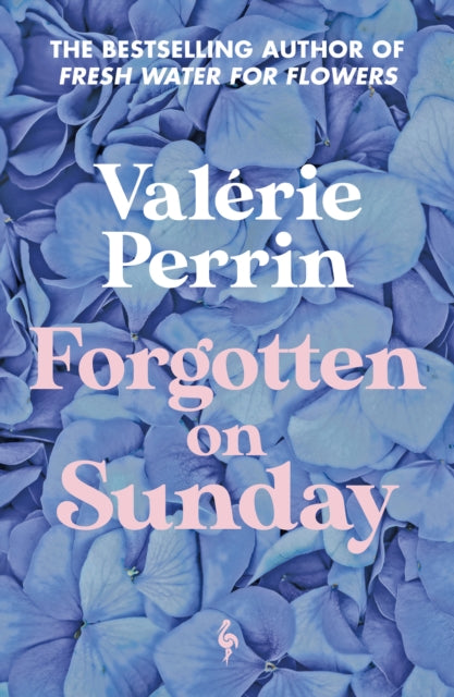 Forgotten on Sunday : From the million copy bestselling author of Fresh Water for Flowers - 9781787705272