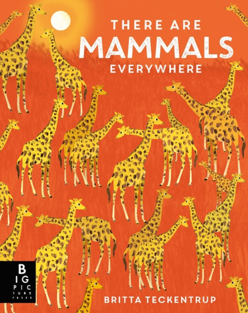 There are Mammals Everywhere - 9781800787346