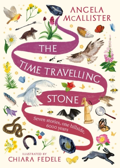 The Time Travelling Stone : Seven stories, one hillside, 6000 years - 9781801107532