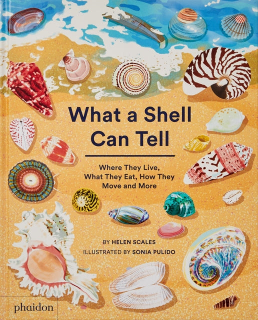 What A Shell Can Tell - 9781838664305