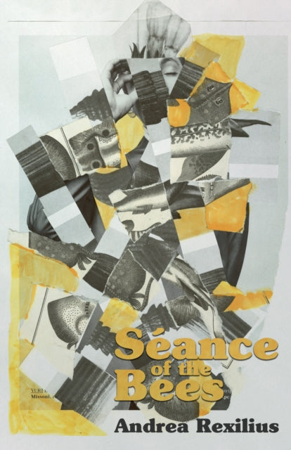 Seance of the Bees - 9781960988898