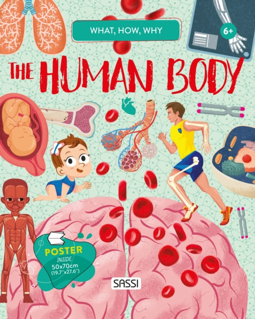 QUESTIONS ANSWERS HUMAN BODY - 9788830310117