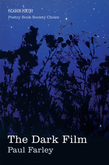The Dark Film - 9780330461238
