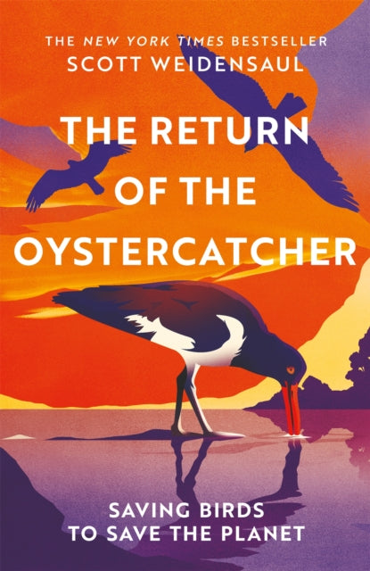 The Return of the Oystercatcher : Saving Birds to Save the Planet - 9781035016518