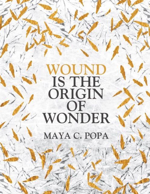 Wound is the Origin of Wonder - 9781035017386