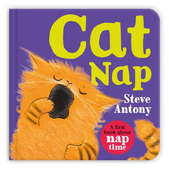 Cat Nap : A First Book About Naptime - 9781035029037