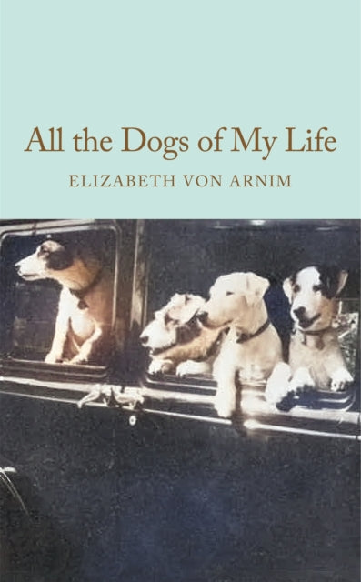 All the Dogs of My Life - 9781035064205