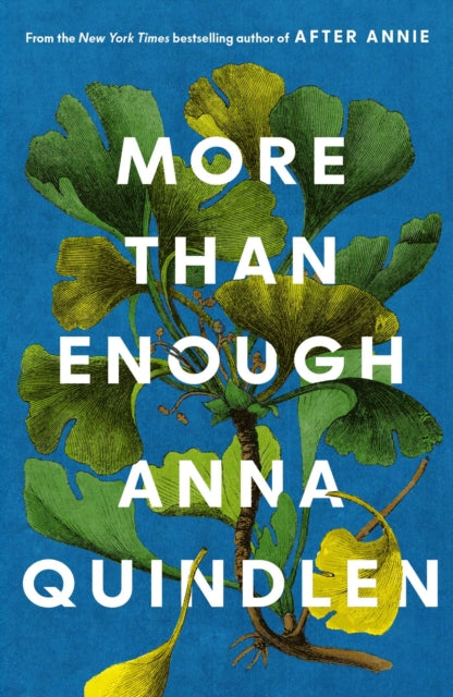 More Than Enough - 9781398555174