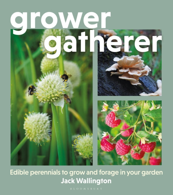 Grower Gatherer : Edible perennials to grow and forage in your garden - 9781399426855