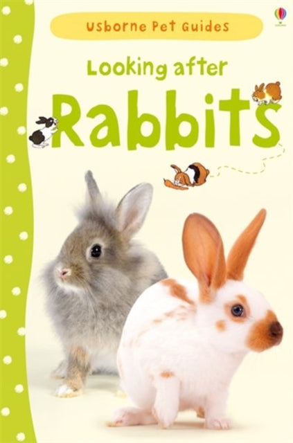 Looking after Rabbits - 9781409532439