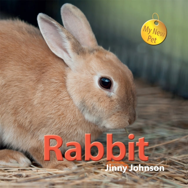 Rabbit - 9781445122007