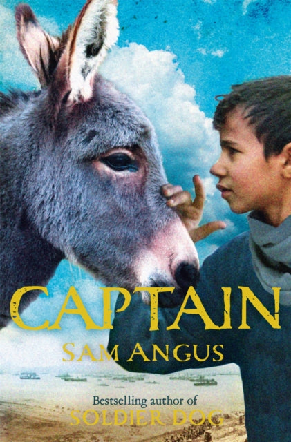 Captain - 9781447263029