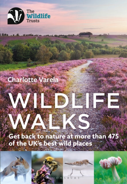 Wildlife Walks : Get back to nature at more than 475 of the UK's best wild places - 9781472986863