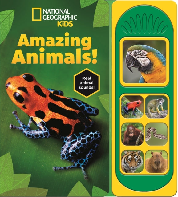 National Geographic Kids: Amazing Animals! Sound Book - 9781503774940