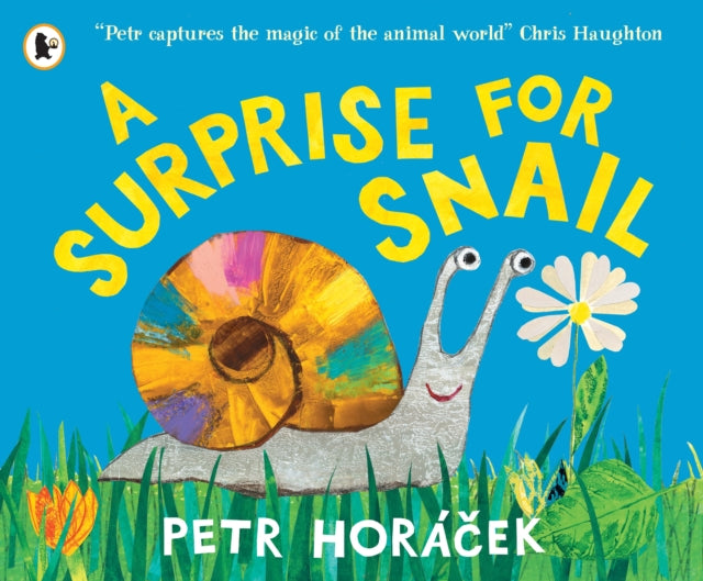 A Surprise for Snail - 9781529525502