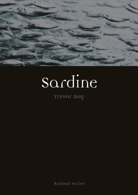 Sardine - 9781780239965