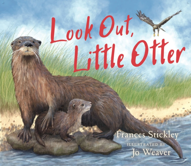 Look Out, Little Otter - 9781780279800
