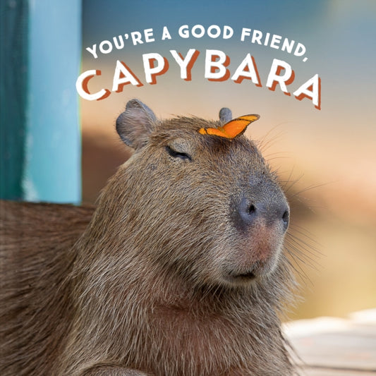 You're a Good Friend, Capybara - 9781797210575