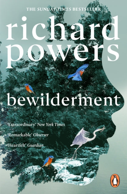 Bewilderment - 9781804951668
