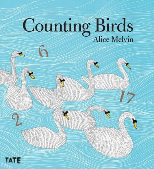 Counting Birds - 9781849762106