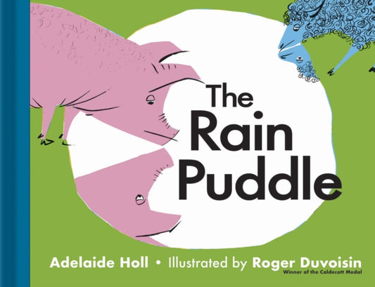 The Rain Puddle - 9781851244690