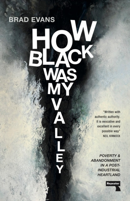 How Black Was My Valley : Poverty and Abandonment in a Post-Industrial Heartland - 9781913462840