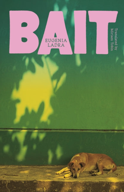 Bait - 9781917092661